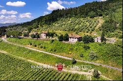 CHIANTI: ESTATE WITH WINE-CELLAR AND AGRITURISMO FOR SALE, RISERVA DI CACCIA