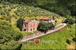 CHIANTI: ESTATE WITH WINE-CELLAR AND AGRITURISMO FOR SALE, RISERVA DI CACCIA