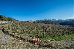 CHIANTI CLASSICO DOCG: PRESTIGIOUS WINE ESTATE FOR SALE