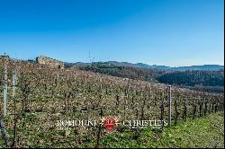 CHIANTI CLASSICO DOCG: PRESTIGIOUS WINE ESTATE FOR SALE