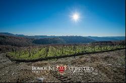 Chianti Classico - RENOWNED WINE ESTATE FOR SALE IN GAIOLE, TUSCANY