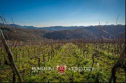 CHIANTI CLASSICO DOCG: PRESTIGIOUS WINE ESTATE FOR SALE