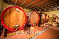 CHIANTI CLASSICO DOCG: PRESTIGIOUS WINE ESTATE FOR SALE