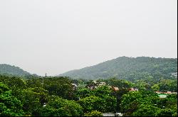 Yangmingshan Terrace