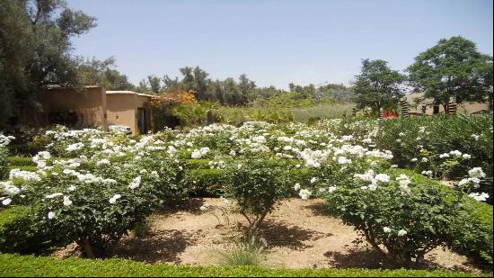 Villa Rastaban - Taroudant