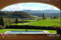 LEOPOLDINA WITH POOL FOR SALE, VALDARNO, TUSCANY