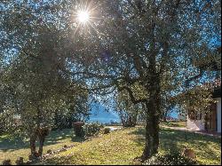 Villa, Tremezzina, Lake Como, Lombardy, 22016