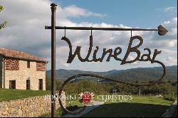 85 HA ESTATE WITH HAMLETS AND CHIANTI VINEYARD FOR SALE, TUSCANY