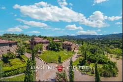 85 HA ESTATE WITH HAMLETS AND CHIANTI VINEYARD FOR SALE, TUSCANY