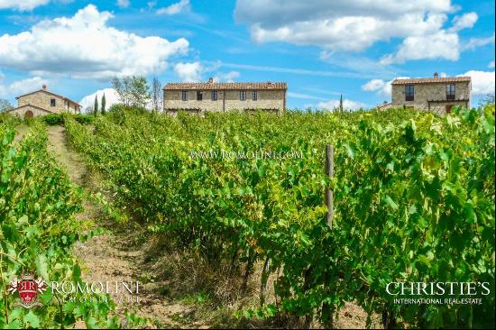 ESTATE WITH TWO HAMLETS FOR SALE NEAR AREZZO, TUSCANY