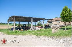 Umbria - FARMSTEAD WITH 12 HA OF VINEYARD FOR SALE IN CITTÀ DELLA PIEVE