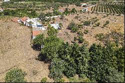 Farm, 4 bedrooms, for Sale