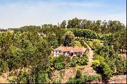 Farm, 9 bedrooms, for Sale