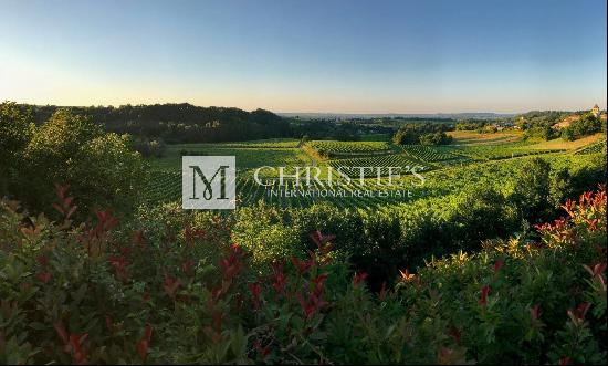 Commercial Bordeaux Vineyard for sale