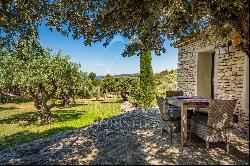 Gordes - Beautiful renovated farmhouse with open view