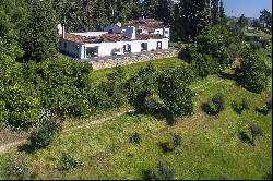 Farm, 9 bedrooms, for Sale