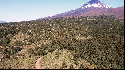 Fundo Araucarias - Forestry And Tourism Potential - Temuco / Chillán
