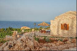 Odysseus Estate
