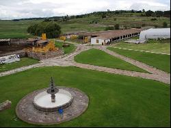 HACIENDA TOTÓ