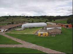 HACIENDA TOTÓ