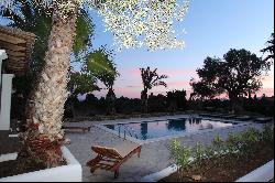 Finca near the village Es Cubells for holiday rental