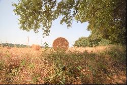 Unique Masia in the Baix Emporda