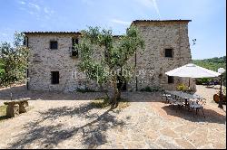 Enchanting farm in the heart of Chianti