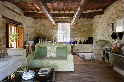 Enchanting farm in the heart of Chianti