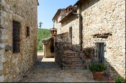 Enchanting farm in the heart of Chianti