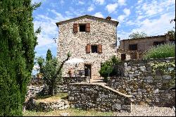 Enchanting farm in the heart of Chianti