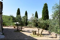 Enchanting farm in the heart of Chianti