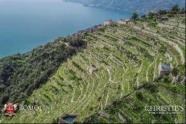 Amalfi Coast - ORGANIC VINEYARDS AND WINERY FOR SALE