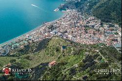 Amalfi Coast - ORGANIC VINEYARDS AND WINERY FOR SALE