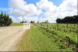 Magnificent vineyard estate with historic Château in AOC Bordeaux