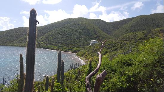 Virgin Islands (British)