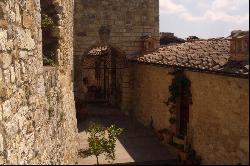Historic castle with vineyard in 'Chianti'