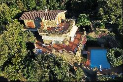 Modern villa with swimming pool and Mediterranean garden