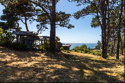 Mendocino Coast Oceanfront