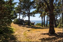 Mendocino Coast Oceanfront