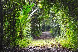 2500 Acre Conservation Land With Precious Woods