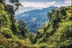 2500 Acre Conservation Land With Precious Woods