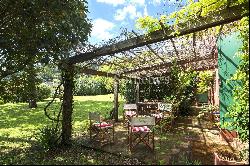 Country house on the hills of Lucca