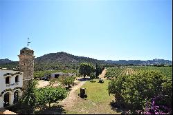 Historic majestic property with vineyard
