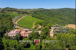 102-HA WINE ESTATE WITH HISTORIC VILLA FOR SALE IN CHIANTI CLASSICO, TUSCANY