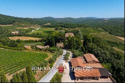 102-HA WINE ESTATE WITH HISTORIC VILLA FOR SALE IN CHIANTI CLASSICO, TUSCANY