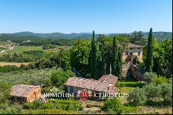 102-HA WINE ESTATE WITH HISTORIC VILLA FOR SALE IN CHIANTI CLASSICO, TUSCANY