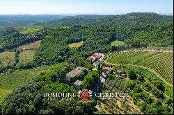 102-HA WINE ESTATE WITH HISTORIC VILLA FOR SALE IN CHIANTI CLASSICO, TUSCANY