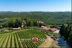 102-HA WINE ESTATE WITH HISTORIC VILLA FOR SALE IN CHIANTI CLASSICO, TUSCANY