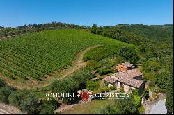 102-HA WINE ESTATE WITH HISTORIC VILLA FOR SALE IN CHIANTI CLASSICO, TUSCANY