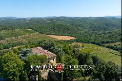 102-HA WINE ESTATE WITH HISTORIC VILLA FOR SALE IN CHIANTI CLASSICO, TUSCANY